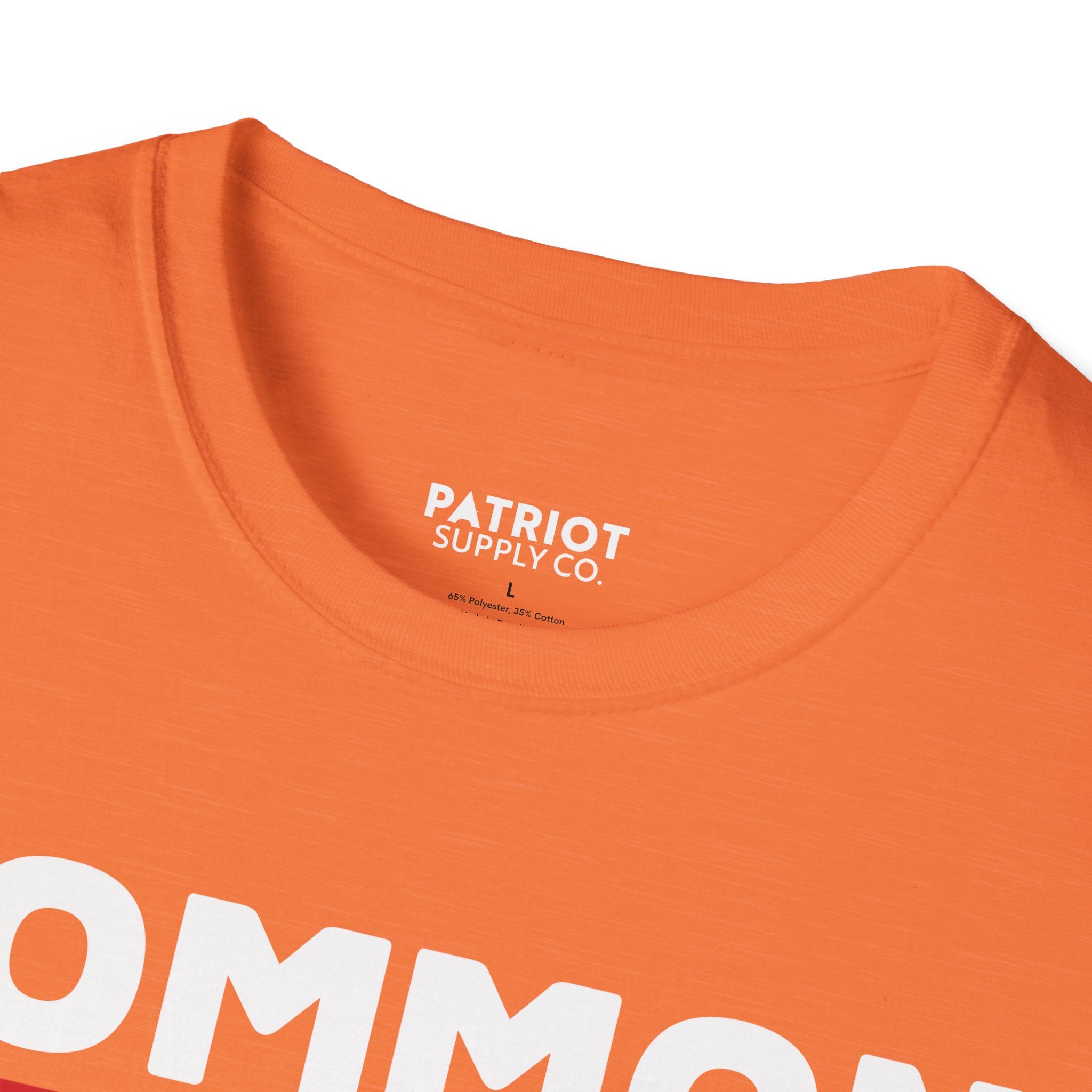 Common Sense Now A Superpower - Conservative Truth Statement T-Shirt