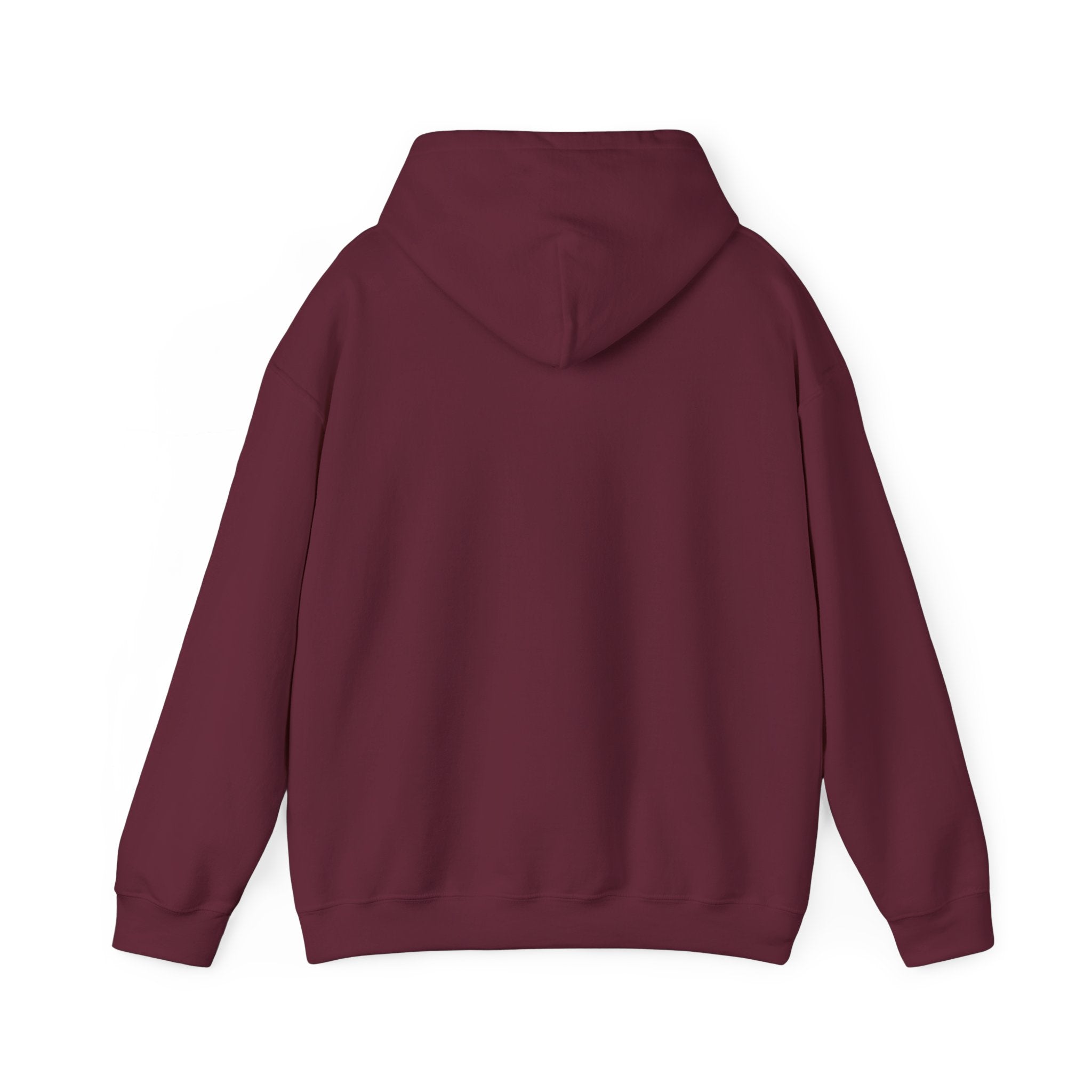 Conservative Message Hooded Sweatshirt - Patriotic Statement Comfort Wear