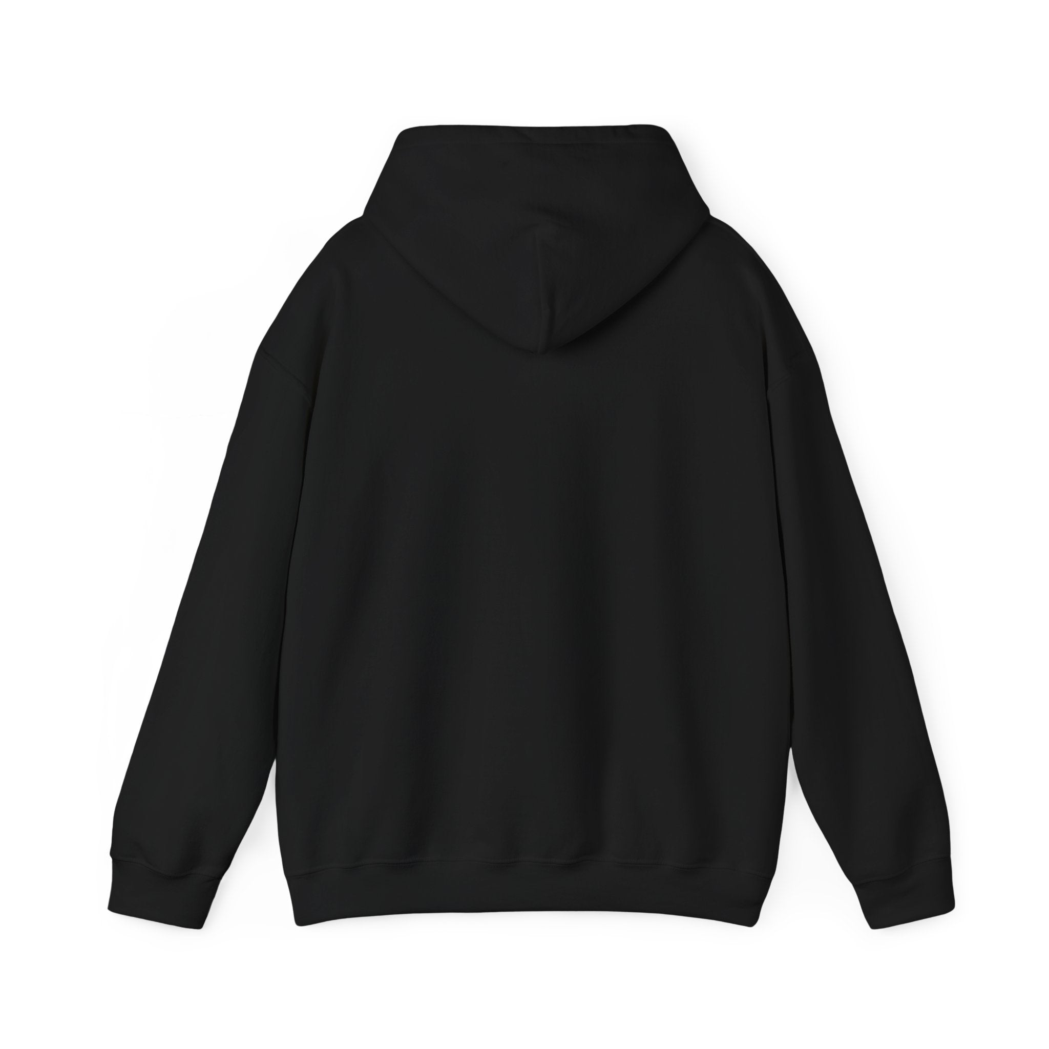 Conservative Message Hooded Sweatshirt - Patriotic Statement Comfort Wear