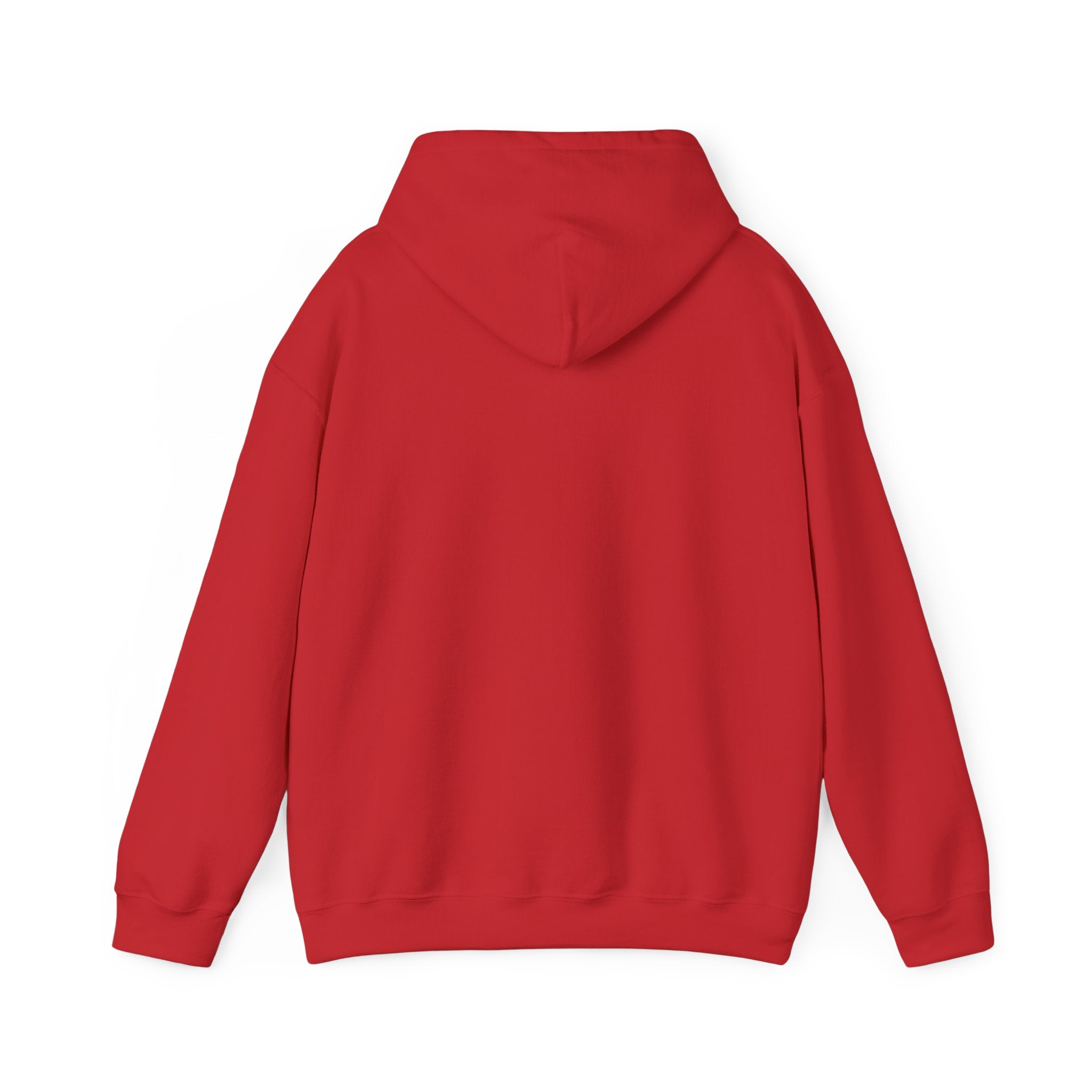 Conservative Message Hooded Sweatshirt - Patriotic Statement Comfort Wear
