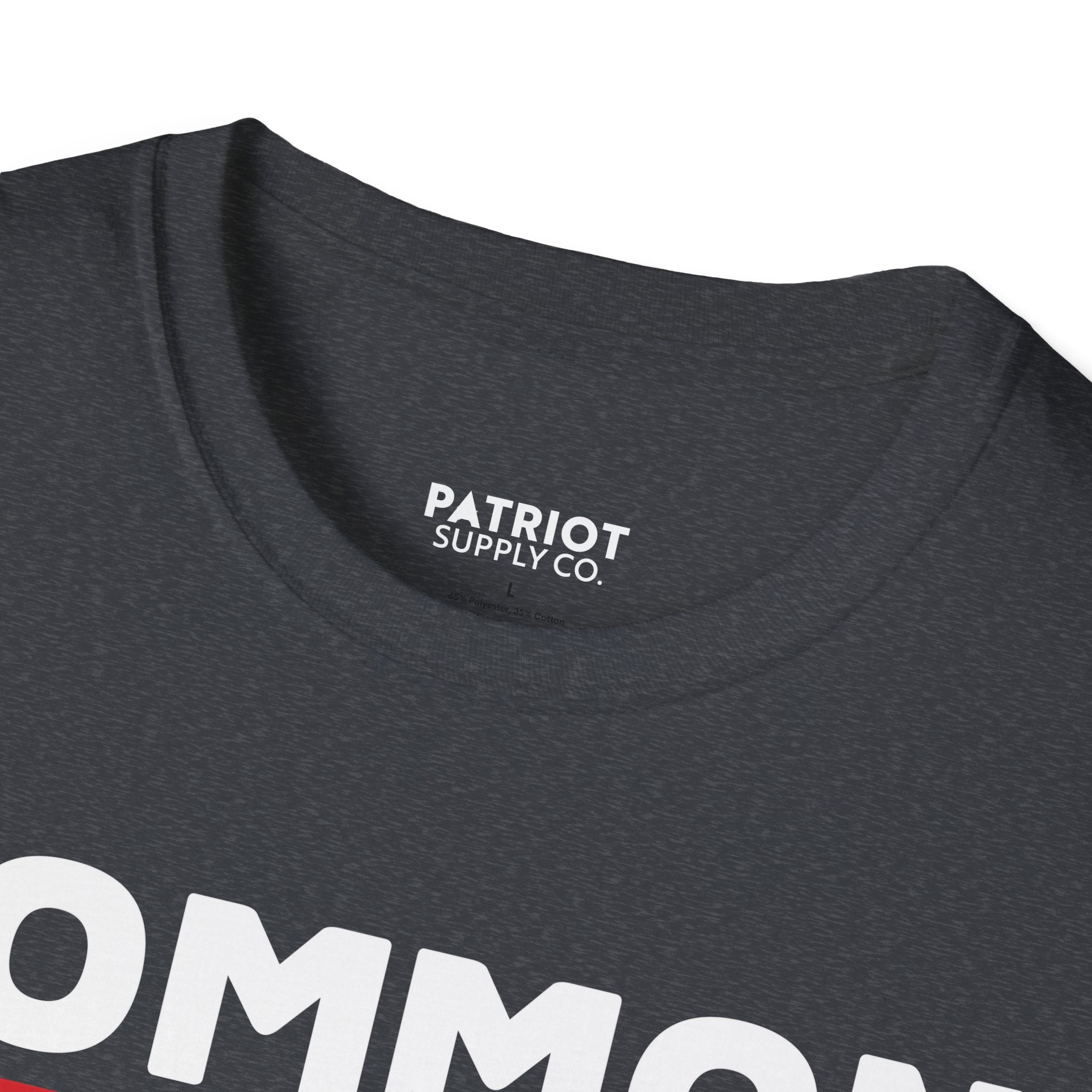 Common Sense Now A Superpower - Conservative Truth Statement T-Shirt