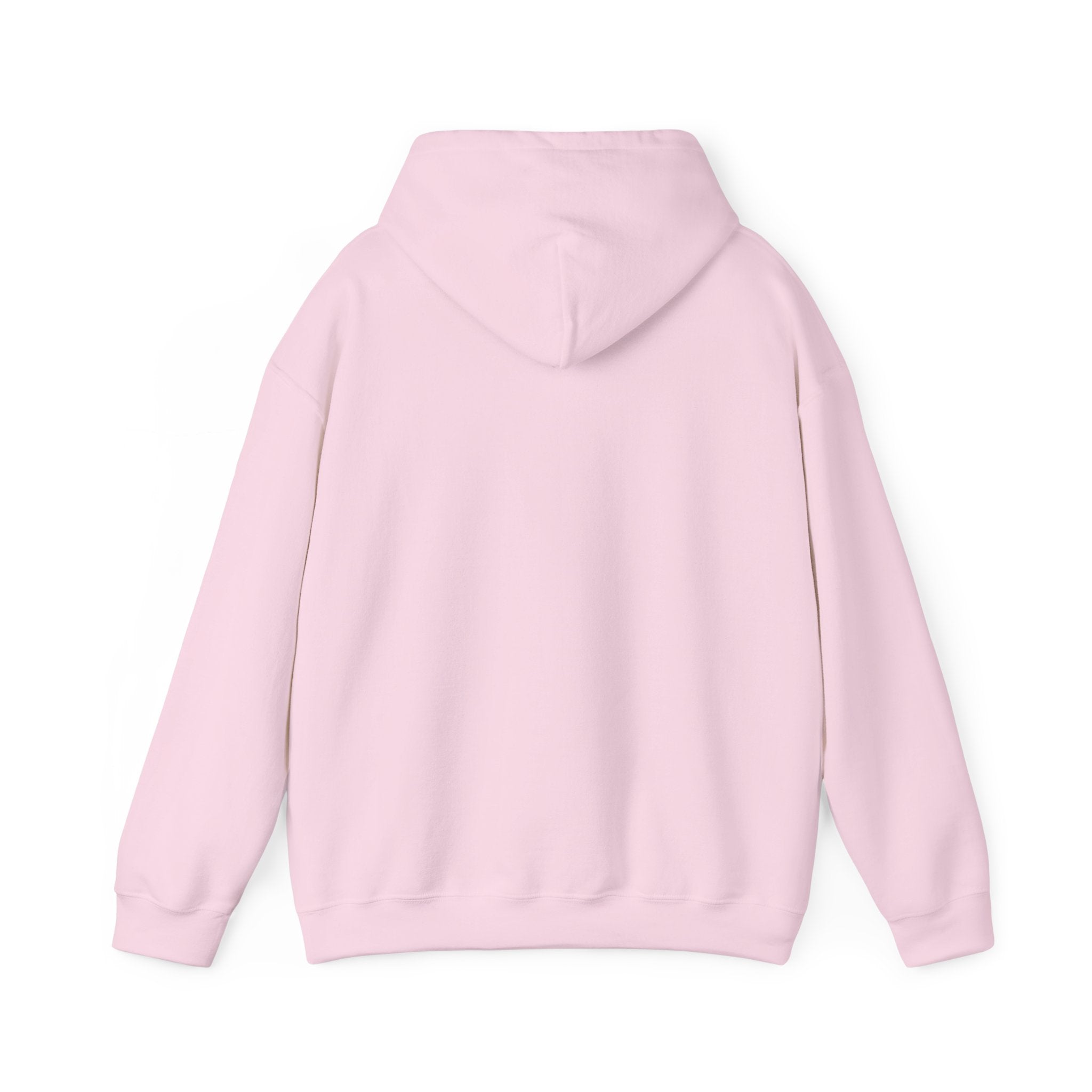 Conservative Message Hooded Sweatshirt - Patriotic Statement Comfort Wear
