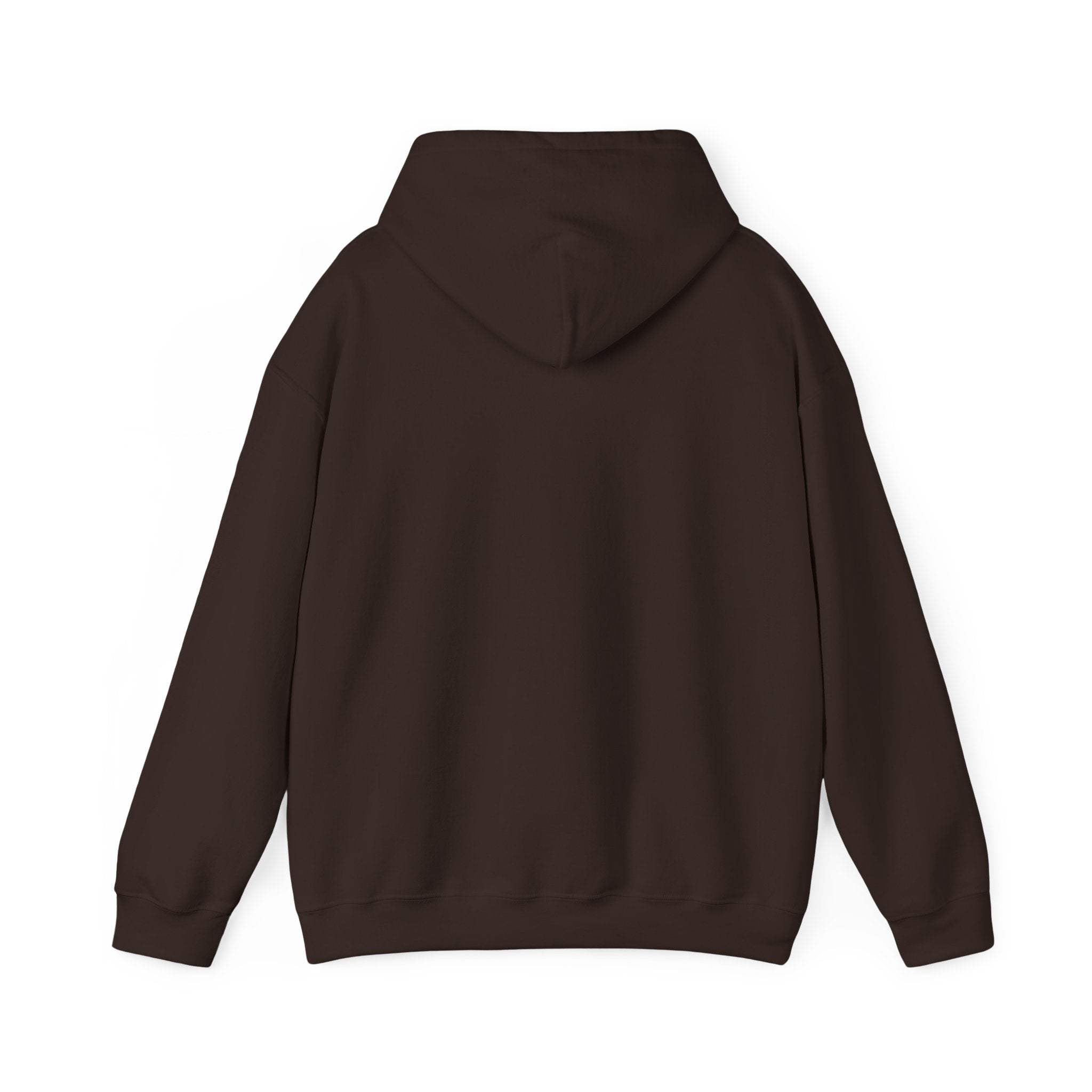 Conservative Message Hooded Sweatshirt - Patriotic Statement Comfort Wear