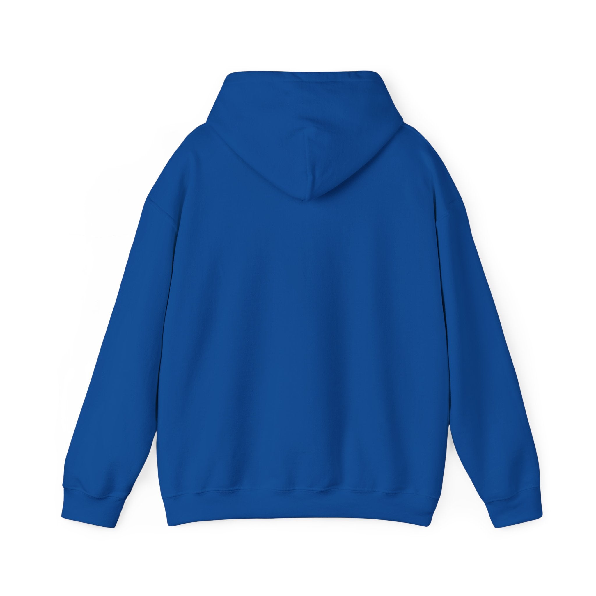 Conservative Message Hooded Sweatshirt - Patriotic Statement Comfort Wear