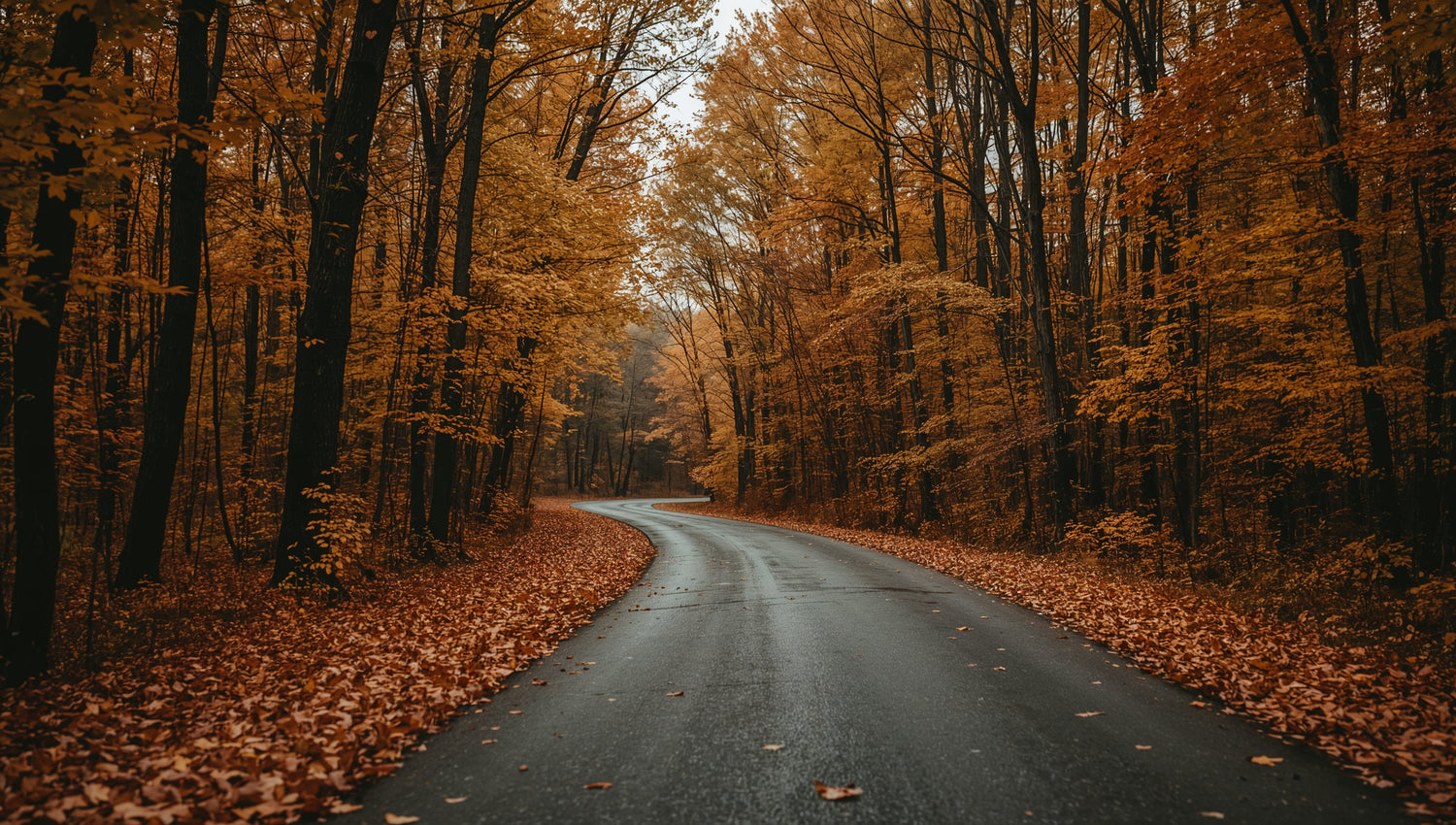 Autumn Preparedness: Conservative Family Security Strategies