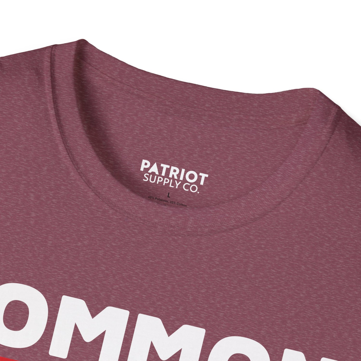 Common Sense Now A Superpower - Conservative Truth Statement T-Shirt