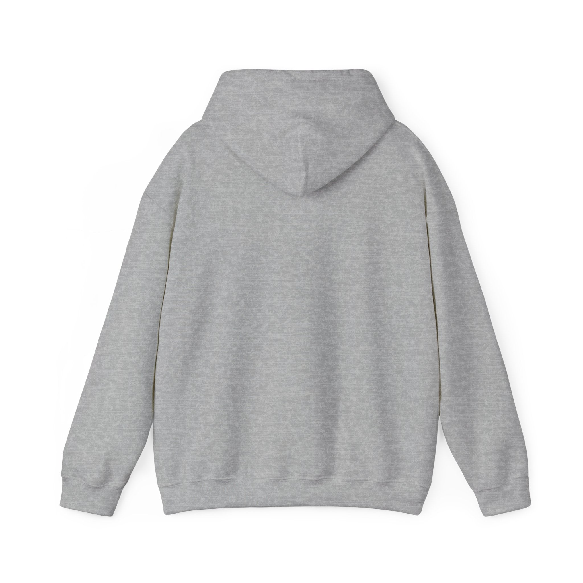 Conservative Message Hooded Sweatshirt - Patriotic Statement Comfort Wear