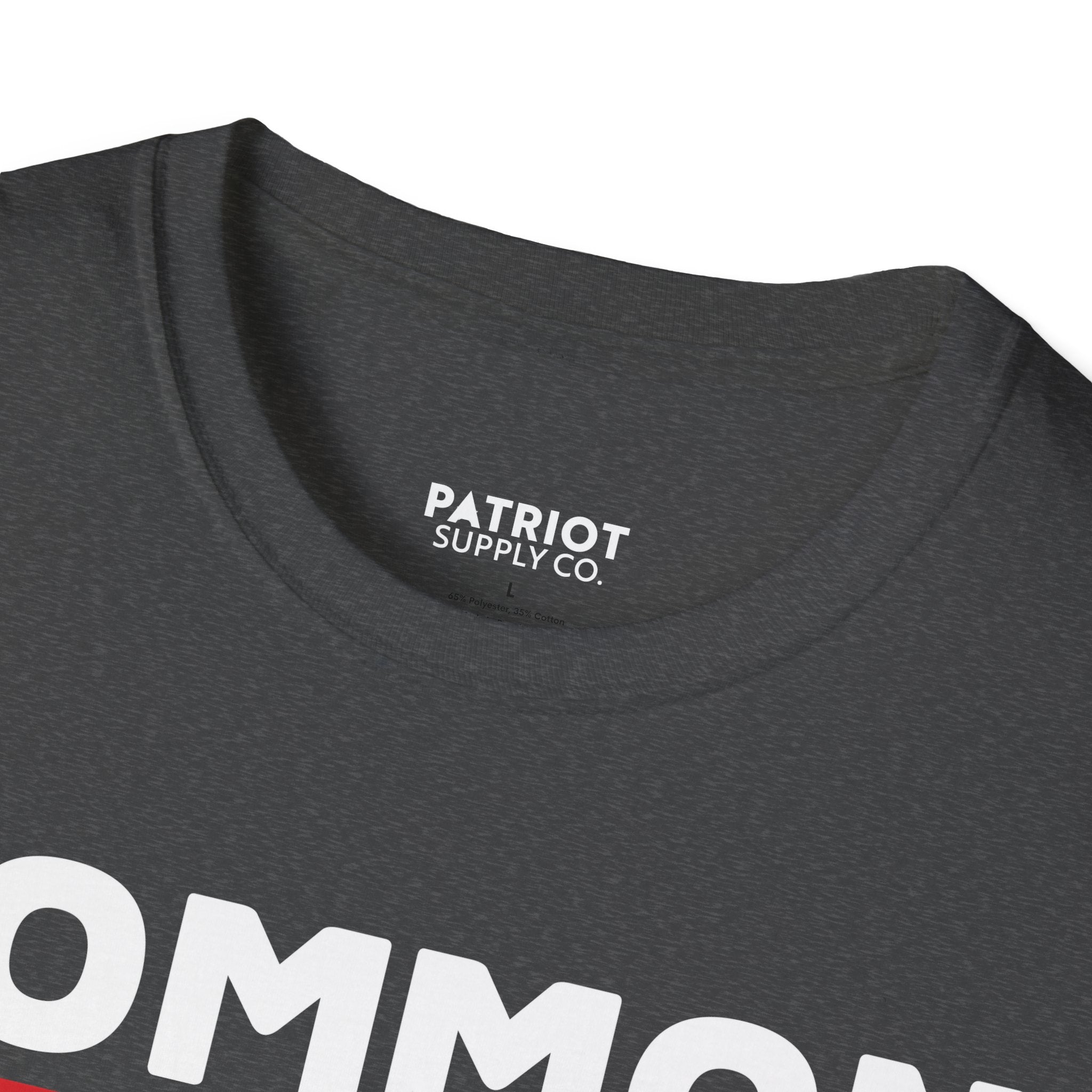Common Sense Now A Superpower - Conservative Truth Statement T-Shirt