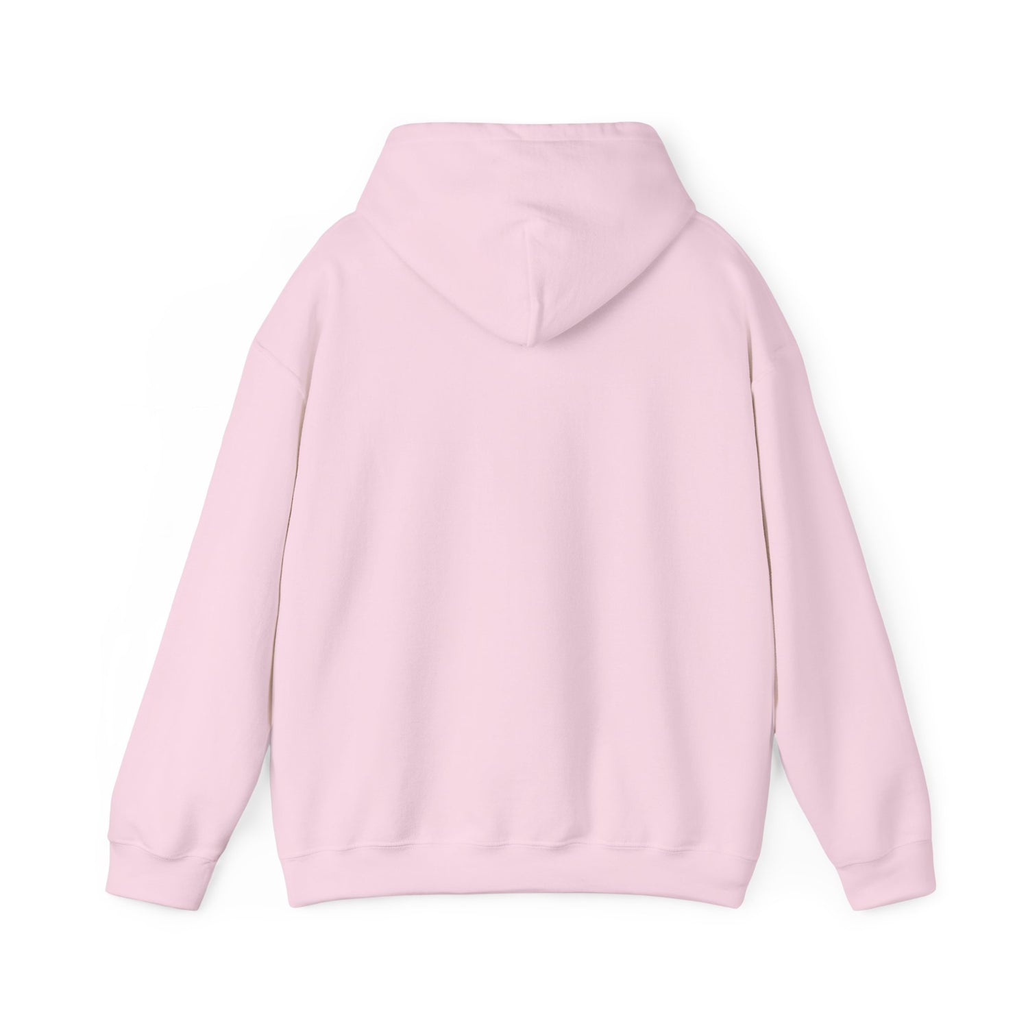 Conservative Message Hooded Sweatshirt - Patriotic Statement Comfort Wear
