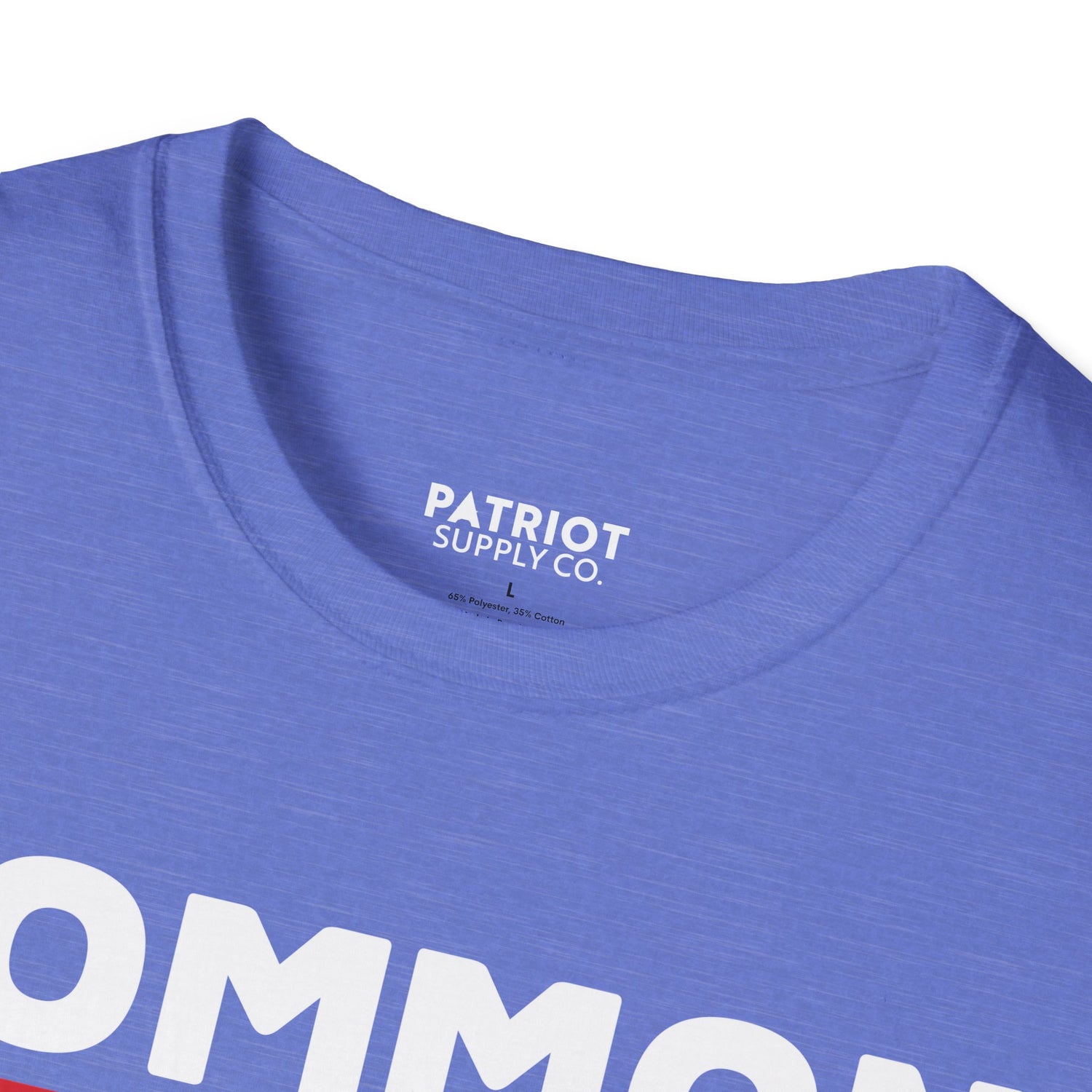 Common Sense Now A Superpower - Conservative Truth Statement T-Shirt