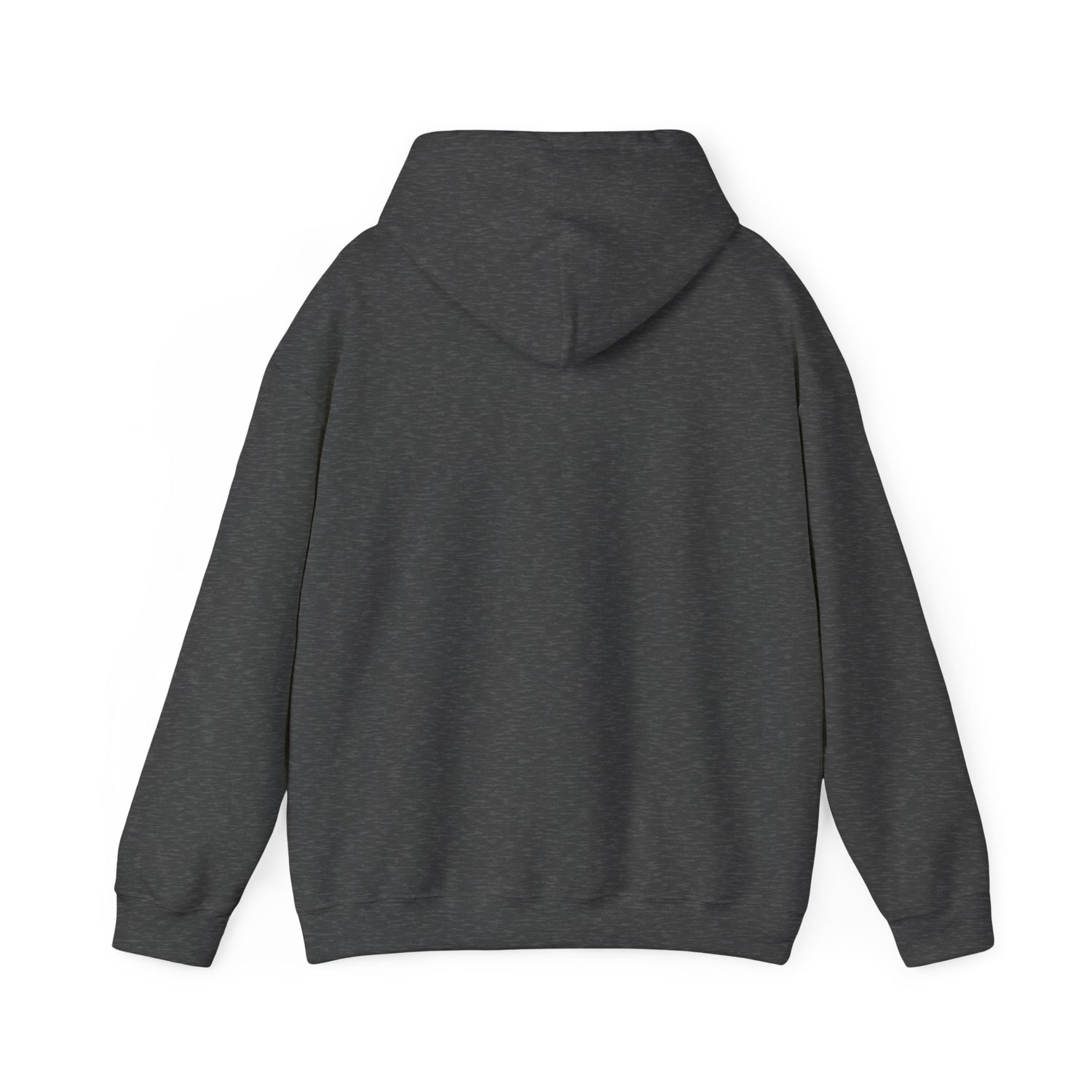 Conservative Message Hooded Sweatshirt - Patriotic Statement Comfort Wear
