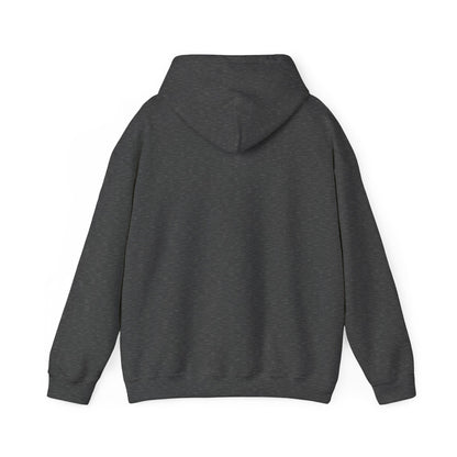 Conservative Message Hooded Sweatshirt - Patriotic Statement Comfort Wear